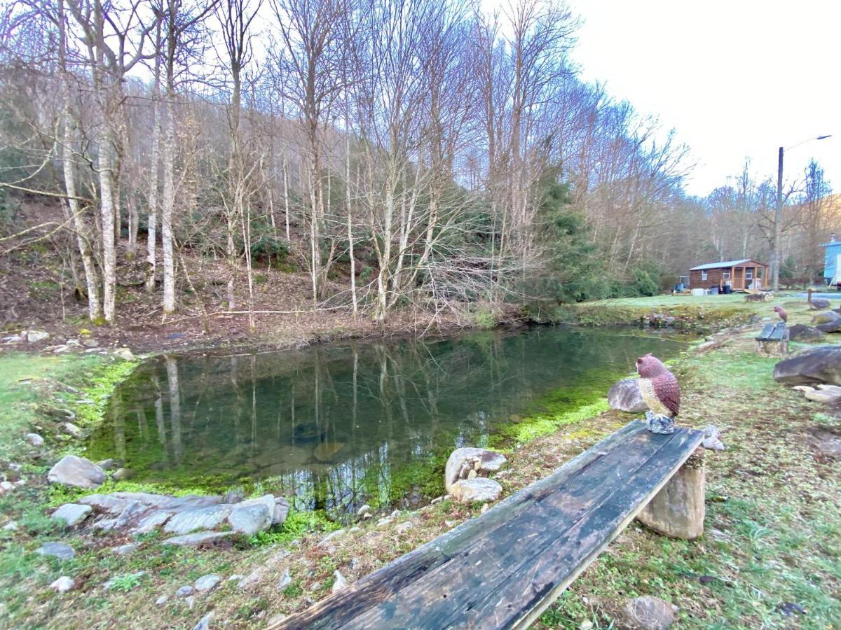 Maggie Valley Cabin Rentals Εξωτερικό φωτογραφία